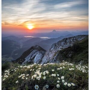 Meet your Posher, Ritzy